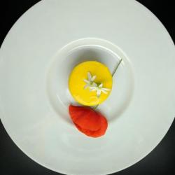Menu Erbe Spontanee